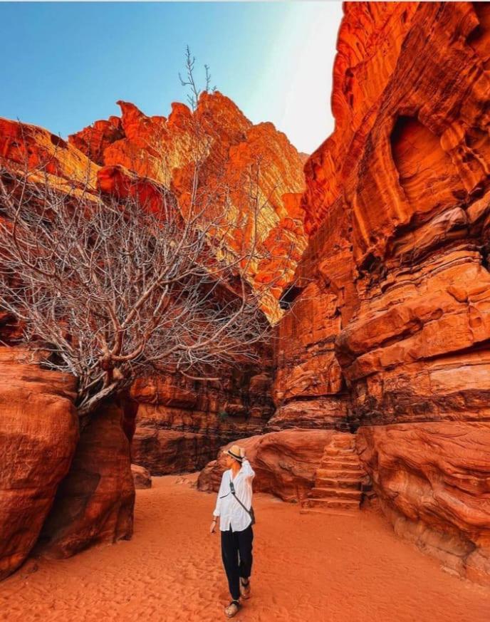Saleem With Jeep Tour Apartment Wadi Rum Bagian luar foto
